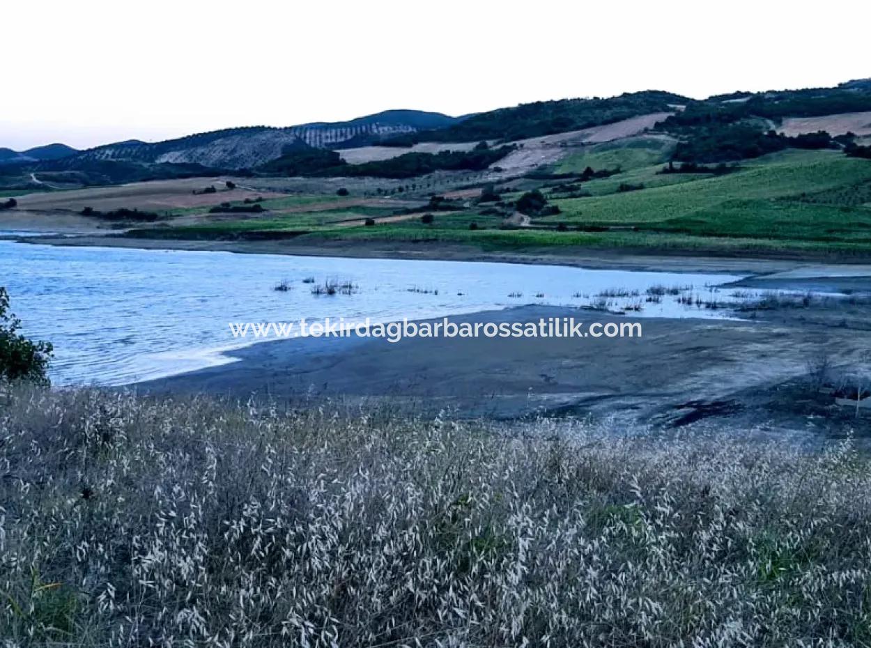 Tekirdağ Yeniköyde For Sale 3.000 M2 Field For Sale With Pond Facing