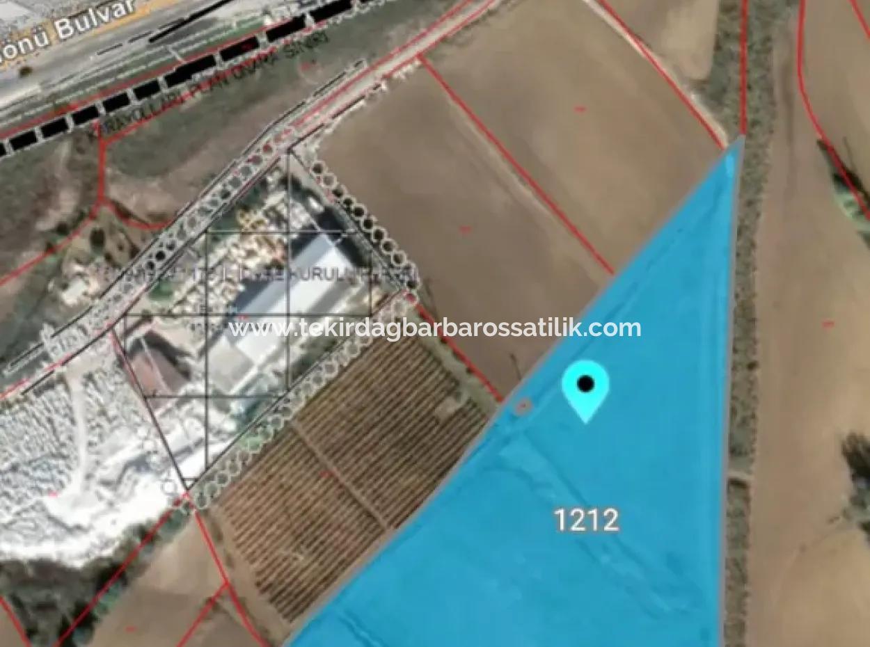 Land For Sale In 19,500 Square Meters Of Commercial And Industrial Area In Nusuratlı Area Of Tekirdağ