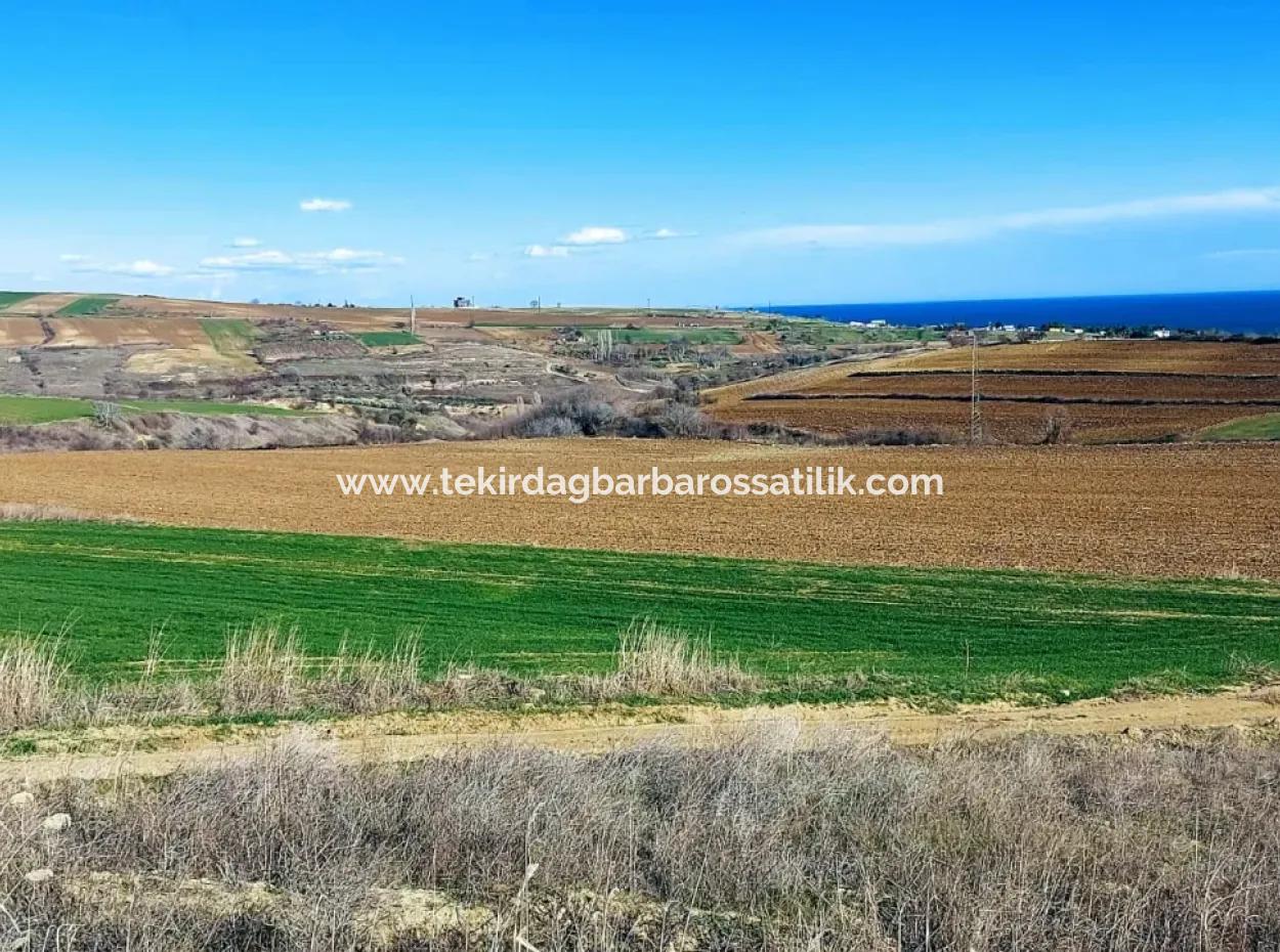 This Land In Tekirdağ Barbaros Is Included In The Current Zoning Plan Of Asyaport Port And Has A Potential For Commercial And Industrial Areas.
