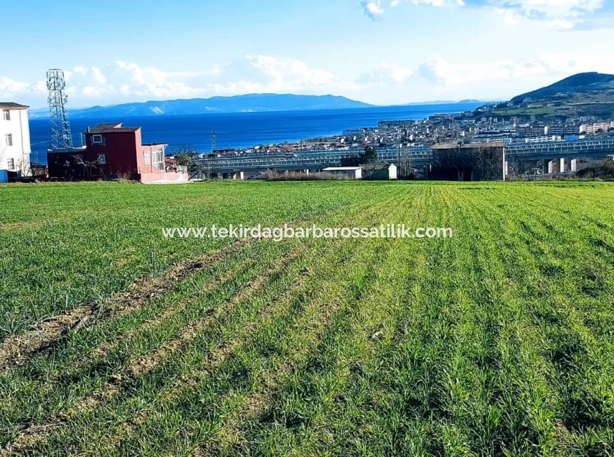 2 950 M2 Residential Zoned Place With Sea View In Tekirdağ Süleymanpaşa Barbaros Neighborhood