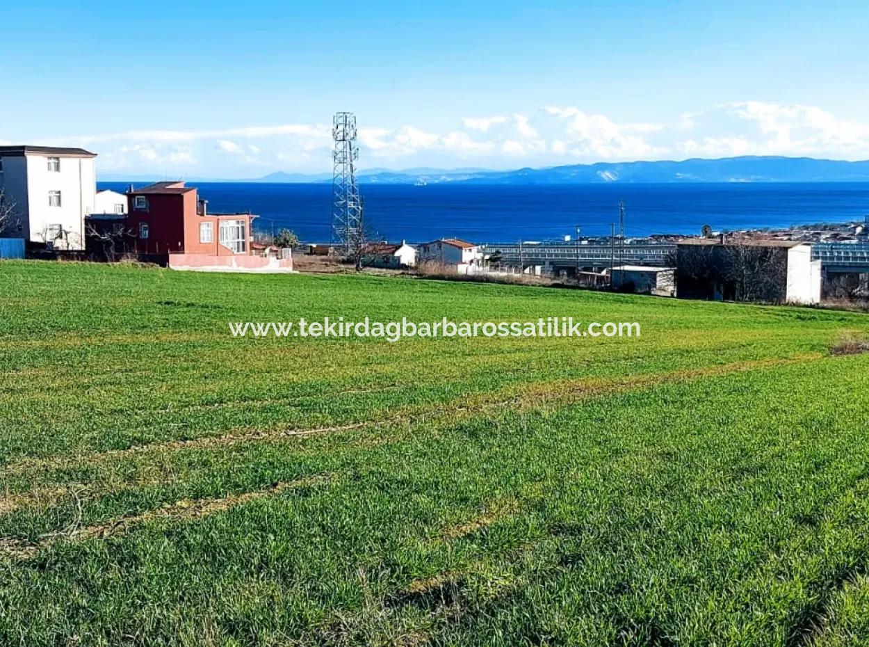 2 950 M2 Residential Zoned Place With Sea View In Tekirdağ Süleymanpaşa Barbaros Neighborhood