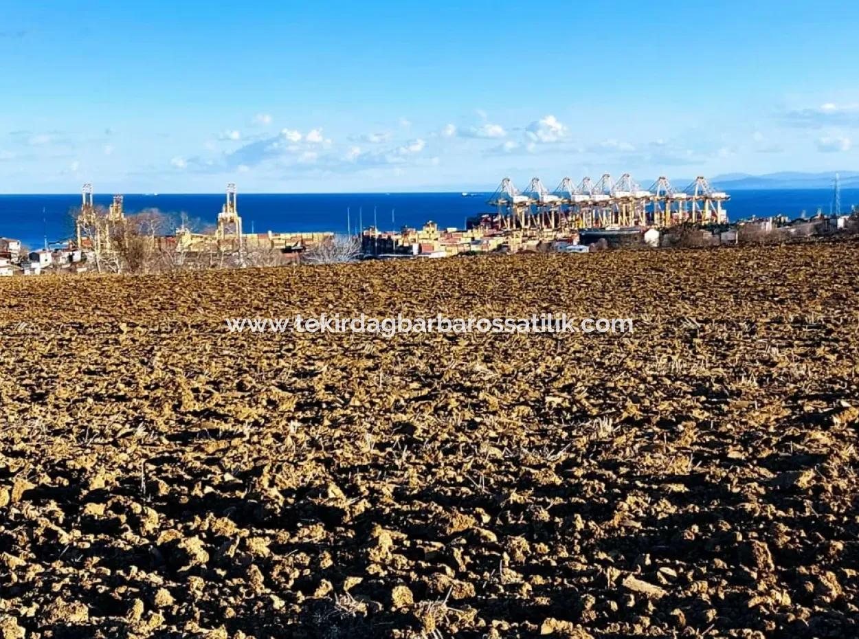 Unique 17.800 M2 Residential Zoned Land Located In Süleymanpaşa Barbaros Area Of Tekirdağ