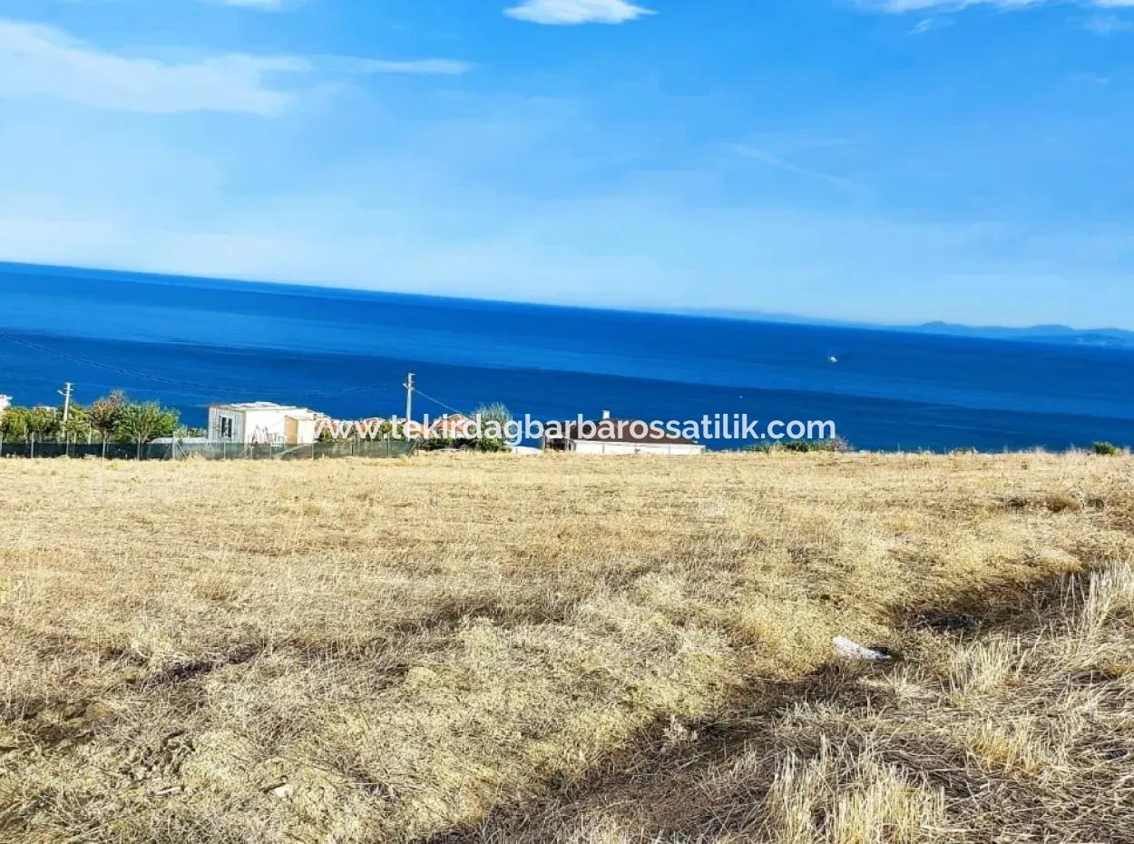 568 M2 Plot Of Land With Full Sea View For Urgent Sale In Tekirdag Barbarosta