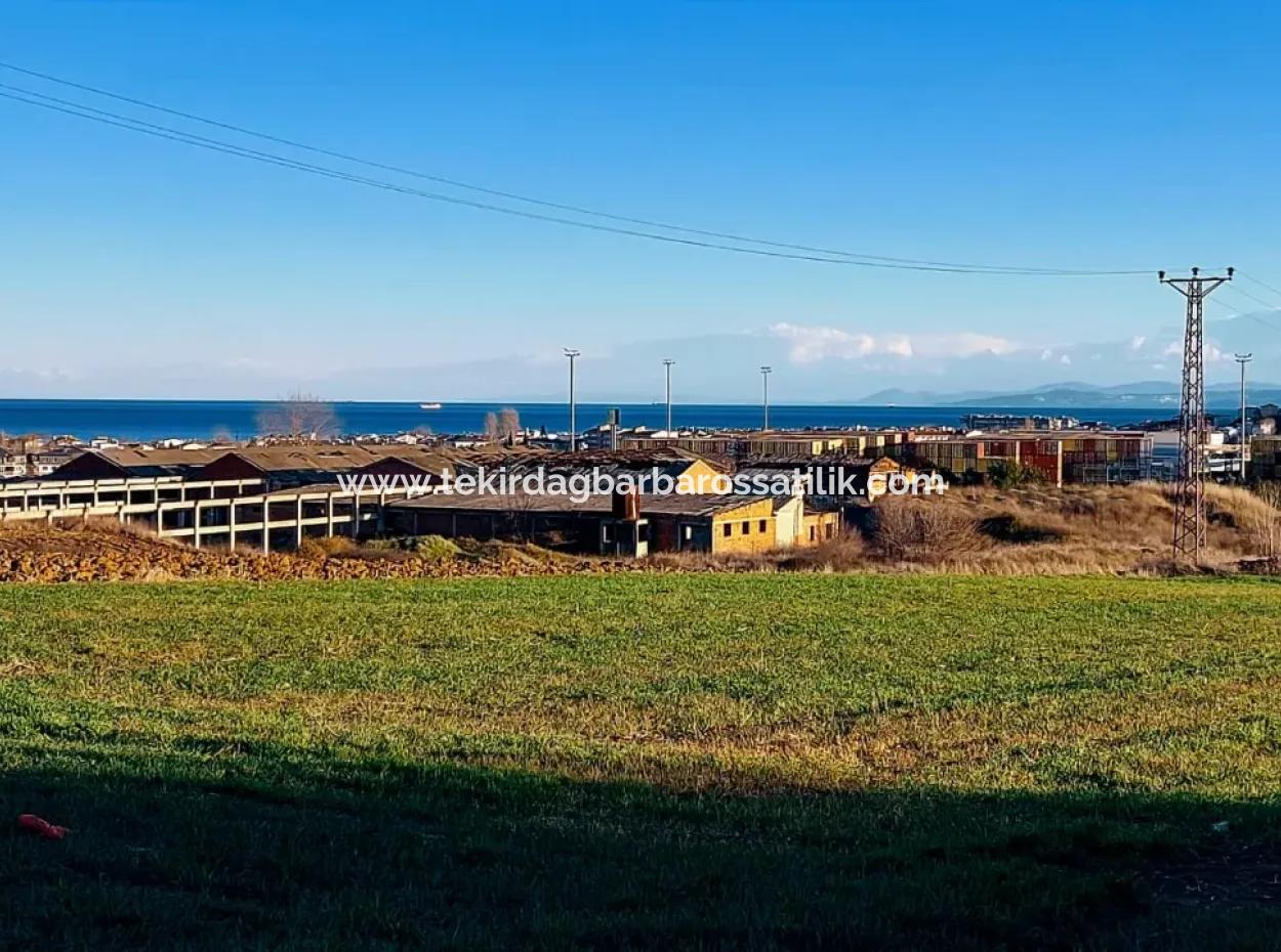 3.100 M2 Field For Sale In Tekirdag Süleymanpaşa Barbaros With Magnificent Sea And Nature Views