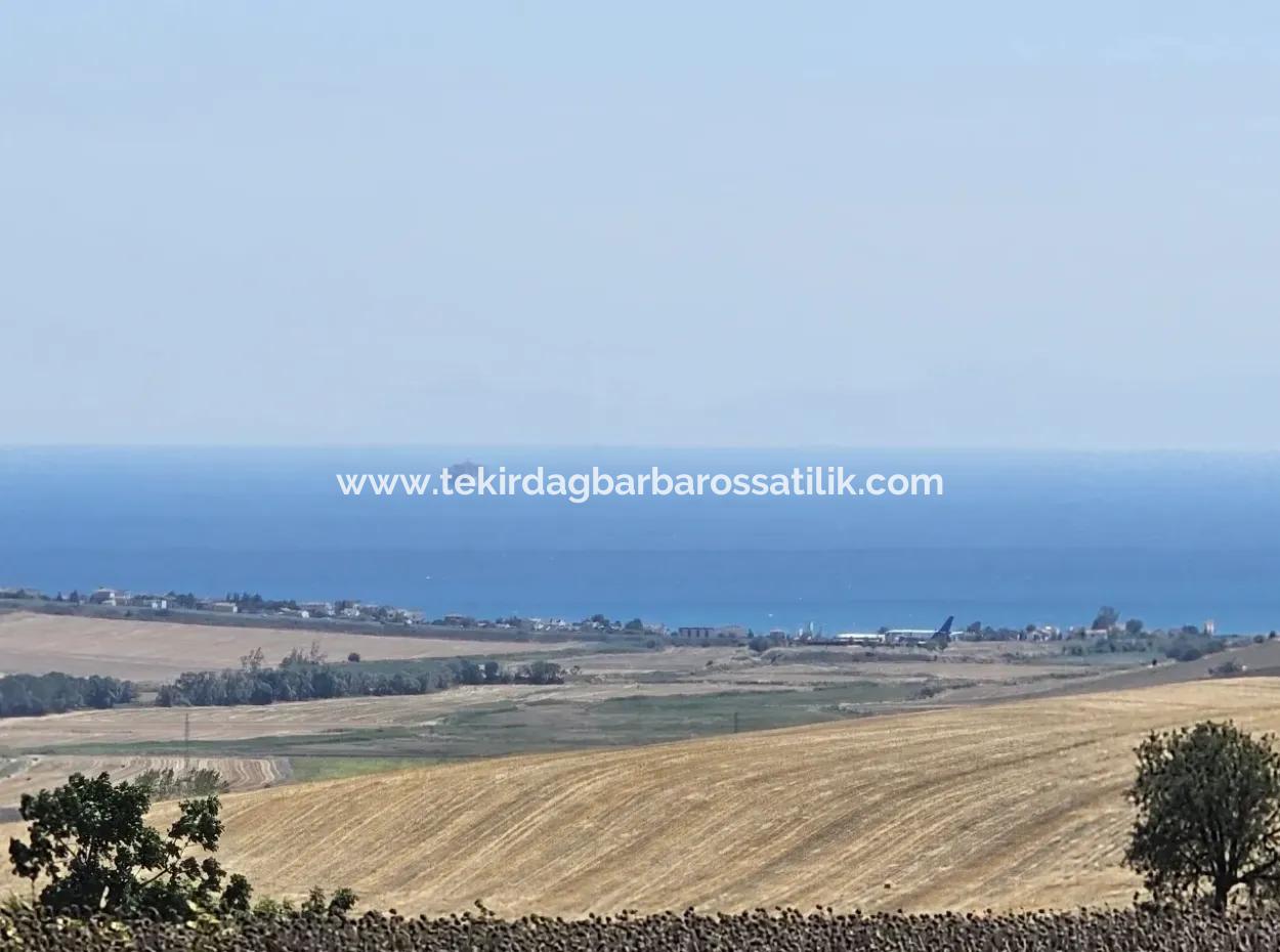 9.300 M2 Investment Field With Sea And Nature View In Tekirdağ Husunlu! Ideal Opportunity For Family Picnic, Viticulture Or Tiny House Project