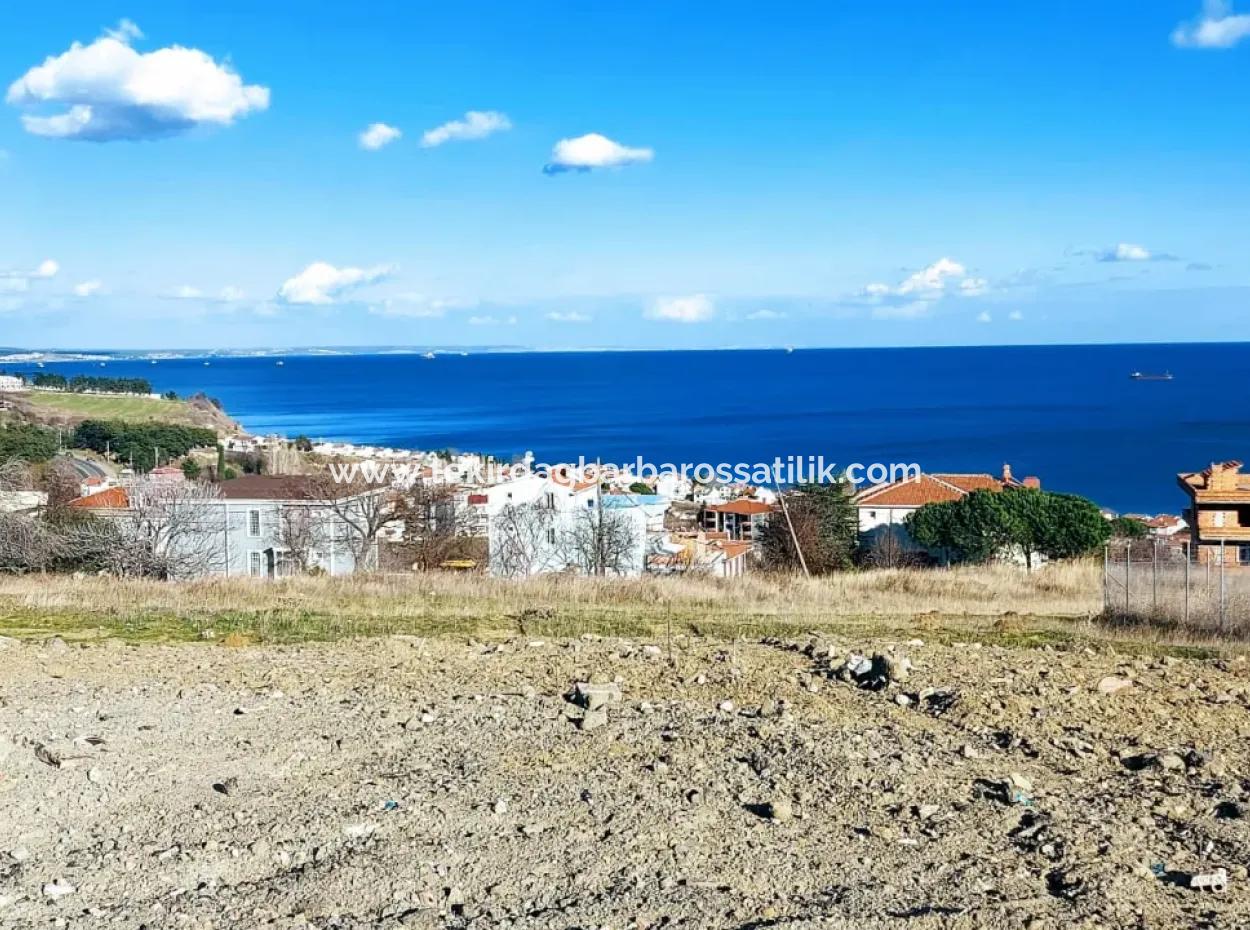 This Magnificent Plot Of Land In Tekirdag Barbaros, Offered By Our Approval Real Estate Office, Offers You The Land Of Your Dreams With Its Unique Sea View.