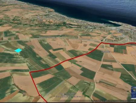 Asyaport Port Is Within The Current Zoning Plan ( Commercial