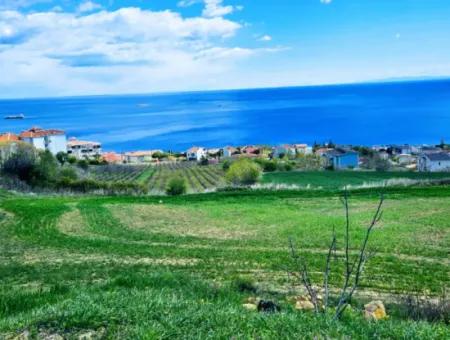 Residential Zoned Land With Full Sea View Suitable For The Construction Of A 42-Apartment Cooperative Site For Urgent Sale In Tekirdag Barbarosta