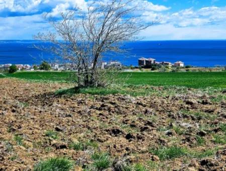 Opportunity Land Suitable For Urgent Sale Magnificent Location Full Sea View 4 Side Road Façade Cooperative And Site Construction
