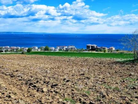 Opportunity Land Suitable For Urgent Sale Magnificent Location Full Sea View 4 Side Road Façade Cooperative And Site Construction