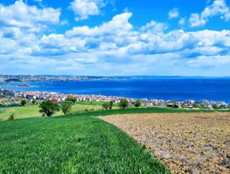 Opportunity Land Suitable For Urgent Sale Magnificent Location Full Sea View 4 Side Road Façade Cooperative And Site Construction