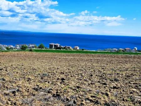 Opportunity Land Suitable For Urgent Sale Magnificent Location Full Sea View 4 Side Road Façade Cooperative And Site Construction