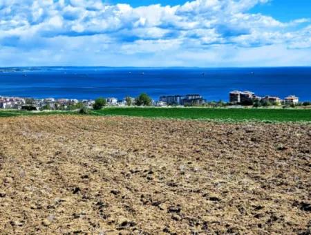 Opportunity Land Suitable For Urgent Sale Magnificent Location Full Sea View 4 Side Road Façade Cooperative And Site Construction