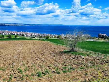 Opportunity Land Suitable For Urgent Sale Magnificent Location Full Sea View 4 Side Road Façade Cooperative And Site Construction