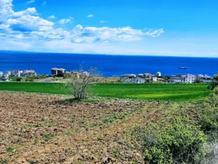 Opportunity Land Suitable For Urgent Sale Magnificent Location Full Sea View 4 Side Road Façade Cooperative And Site Construction