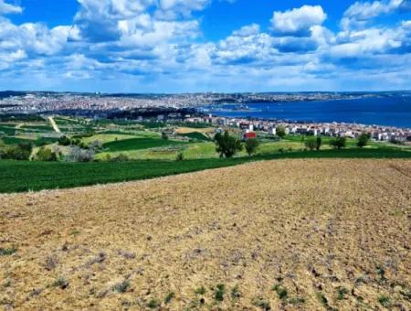 Opportunity Land Suitable For Urgent Sale Magnificent Location Full Sea View 4 Side Road Façade Cooperative And Site Construction