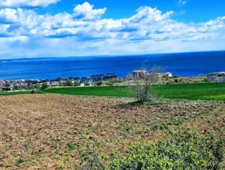 Opportunity Land Suitable For Urgent Sale Magnificent Location Full Sea View 4 Side Road Façade Cooperative And Site Construction