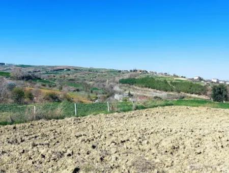 Investment Opportunity: 615 M2 Corner Land For Sale In Tekirdag Barbaros - Urgent Sale, Sea And Nature View, 0 Zoned