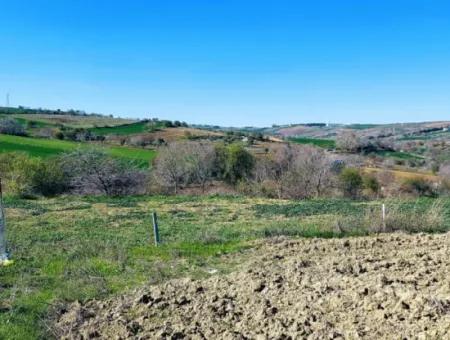 Investment Opportunity: 615 M2 Corner Land For Sale In Tekirdag Barbaros - Urgent Sale, Sea And Nature View, 0 Zoned