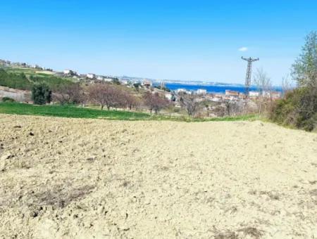 Investment Opportunity: 615 M2 Corner Land For Sale In Tekirdag Barbaros - Urgent Sale, Sea And Nature View, 0 Zoned