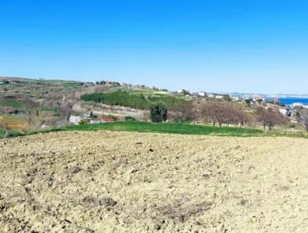 Investment Opportunity: 615 M2 Corner Land For Sale In Tekirdag Barbaros - Urgent Sale, Sea And Nature View, 0 Zoned
