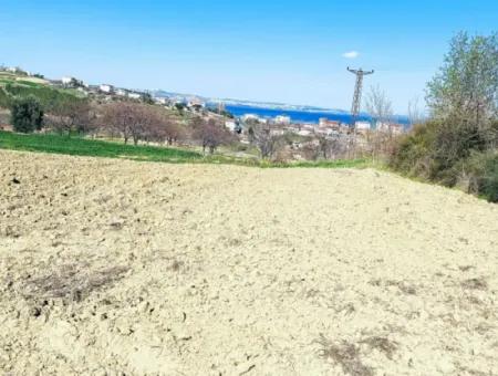 Investment Opportunity: 615 M2 Corner Land For Sale In Tekirdag Barbaros - Urgent Sale, Sea And Nature View, 0 Zoned
