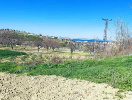 Investment Opportunity: 615 M2 Corner Land For Sale In Tekirdag Barbaros - Urgent Sale, Sea And Nature View, 0 Zoned
