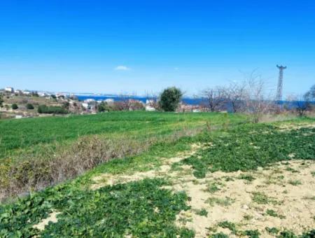 Investment Opportunity: 615 M2 Corner Land For Sale In Tekirdag Barbaros - Urgent Sale, Sea And Nature View, 0 Zoned