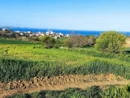 Investment Opportunity: 615 M2 Corner Land For Sale In Tekirdag Barbaros - Urgent Sale, Sea And Nature View, 0 Zoned