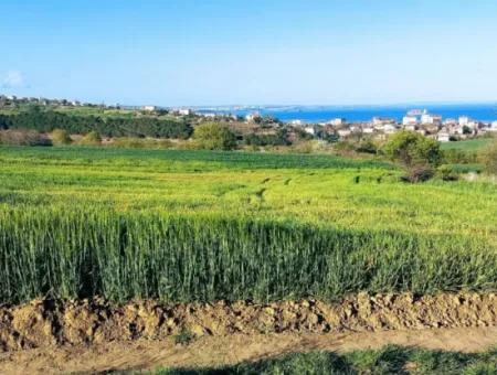 Investment Opportunity: 615 M2 Corner Land For Sale In Tekirdag Barbaros - Urgent Sale, Sea And Nature View, 0 Zoned