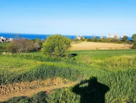 Investment Opportunity: 615 M2 Corner Land For Sale In Tekirdag Barbaros - Urgent Sale, Sea And Nature View, 0 Zoned