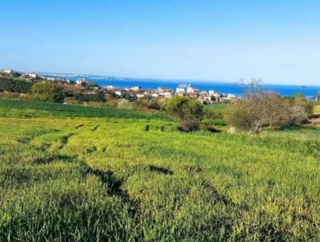 Investment Opportunity: 615 M2 Corner Land For Sale In Tekirdag Barbaros - Urgent Sale, Sea And Nature View, 0 Zoned