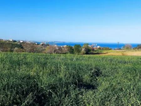 Investment Opportunity: 615 M2 Corner Land For Sale In Tekirdag Barbaros - Urgent Sale, Sea And Nature View, 0 Zoned