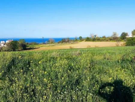 Investment Opportunity: 615 M2 Corner Land For Sale In Tekirdag Barbaros - Urgent Sale, Sea And Nature View, 0 Zoned