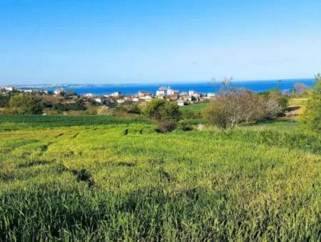 Investment Opportunity: 615 M2 Corner Land For Sale In Tekirdag Barbaros - Urgent Sale, Sea And Nature View, 0 Zoned