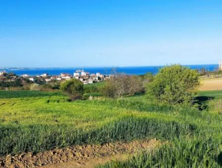 Investment Opportunity: 615 M2 Corner Land For Sale In Tekirdag Barbaros - Urgent Sale, Sea And Nature View, 0 Zoned