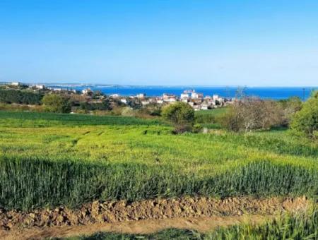 Investment Opportunity: 615 M2 Corner Land For Sale In Tekirdag Barbaros - Urgent Sale, Sea And Nature View, 0 Zoned