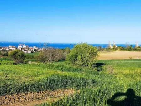 Investment Opportunity: 615 M2 Corner Land For Sale In Tekirdag Barbaros - Urgent Sale, Sea And Nature View, 0 Zoned