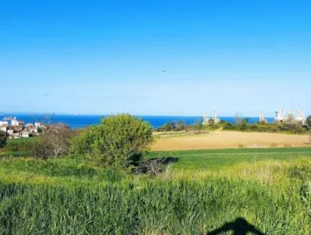 Investment Opportunity: 615 M2 Corner Land For Sale In Tekirdag Barbaros - Urgent Sale, Sea And Nature View, 0 Zoned