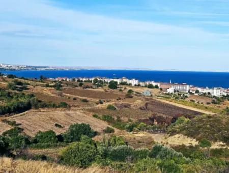 1,150 Sqm Plot Close To Ramada Hotel In Tekirdag Suleymanpasa Barbaros - Topagac