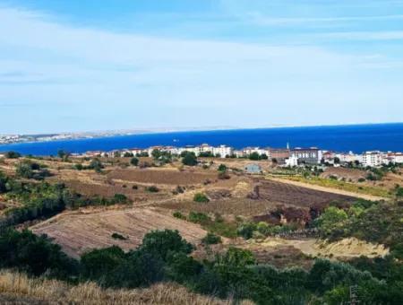 1,150 Sqm Plot Close To Ramada Hotel In Tekirdag Suleymanpasa Barbaros - Topagac