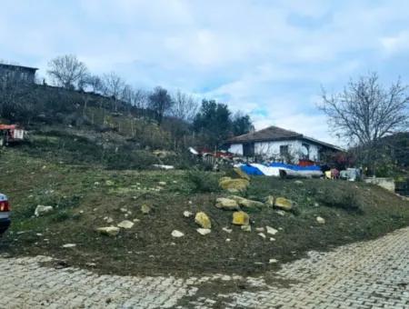 Opportunity Corner Land For Enthusiasts Who Want To Build A Village House For Urgent Sale