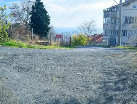 2 Plots Of Land For Urgent Sale 2 Detached Houses Suitable For Building Coupon Land