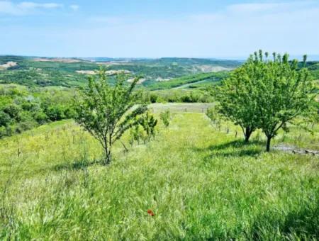 A Great Opportunity To Build Your Farm In Your Family For Urgent Sale 2,600 Acres Of Pasture Front