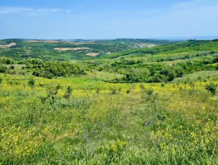 A Great Opportunity To Build Your Farm In Your Family For Urgent Sale 2,600 Acres Of Pasture Front