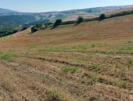 Located In Tekirdağ Işıklar District, This Bargain Has A Potential That Is Extremely Suitable For Various Agricultural Activities Such As 45 Acres Of Fields, Vineyards, Gardens And Nurseries