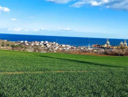 17 980 M2 Field For Sale Close To Tekirdag Barbaros Asyaport Port