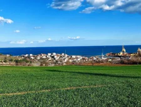 17 980 M2 Field For Sale Close To Tekirdag Barbaros Asyaport Port