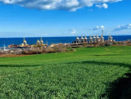 17 980 M2 Field For Sale Close To Tekirdag Barbaros Asyaport Port
