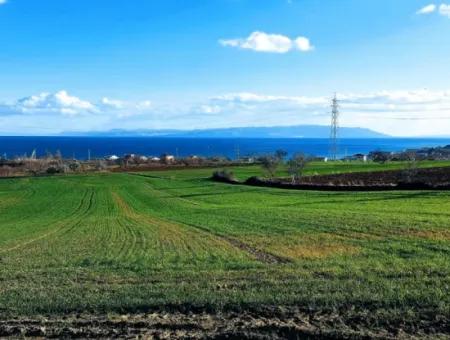 17 980 M2 Field For Sale Close To Tekirdag Barbaros Asyaport Port